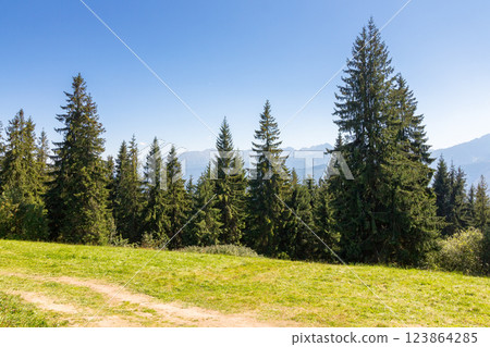 landscape with forest behind the meadow. beautiful view. nature background with blue sky and tatra mountains of poland. summer holiday backdrop landscape with forest behind the meadow. beautiful view. nature background with blue sky and tatra mountains of poland. summer holiday backdrop 123864285