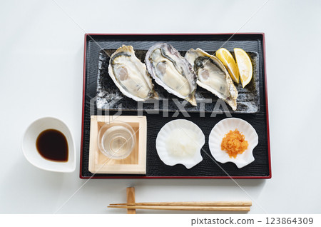 Winter taste raw oysters and sake 123864309