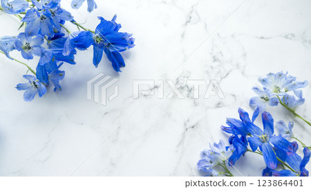 Delphinium background on marble Delphinium background on marble 123864401