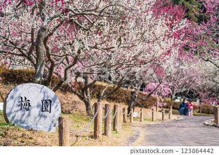 赤塚山公園，梅花盛開（愛知縣豐川市） 123864442