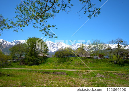 從白馬村眺望白馬山 從白馬村眺望白馬山 123864608