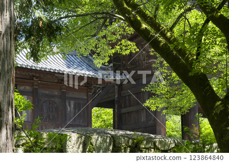 Early summer in Kyoto: Sanmon Gate of Nanzenji Temple, a beautiful approach lined with fresh greenery Early summer in Kyoto: Sanmon Gate of Nanzenji Temple, a beautiful approach lined with fresh greenery 123864840