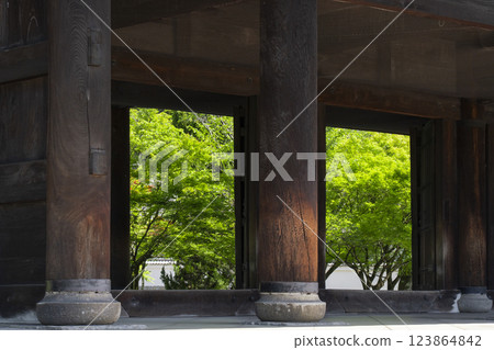 Early summer in Kyoto: Fresh greenery seen from the Sanmon Gate of Nanzenji Temple 123864842