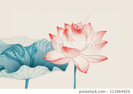 White pink waterlily or lotus flower in pond. 123864929