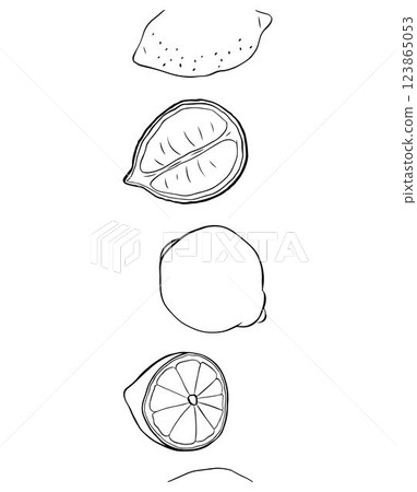 Lemons cut and whole seamless vertical border. Black and white Citrus lemons line graphic ink vector art. art for food design, recipe, cook book, packages, menu, food ads and decor 123865053