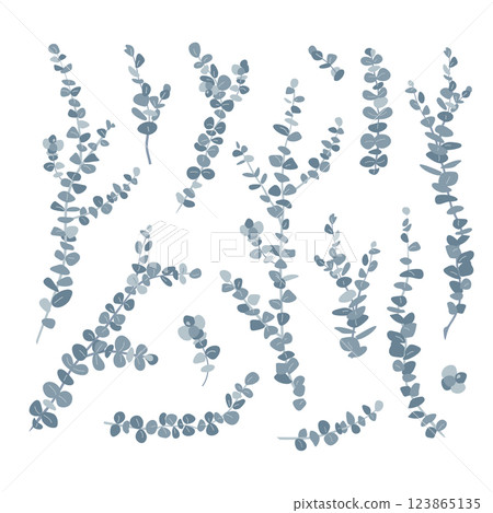 Set of silver dollar or baby blue pulverulenta eucalyptus branches. Gum tree twig isolated design elements. Vector cartoon illustration Set of silver dollar or baby blue pulverulenta eucalyptus branches. Gum tree twig isolated design elements. Vector cartoon illustration 123865135
