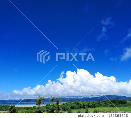 A vivid blue sky and white clouds, the primary colors of Okinawa A vivid blue sky and white clouds, the primary colors of Okinawa 123865228