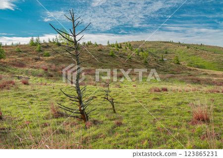 Embracing Mother Nature [Scenery from the Mt. Hachibuse hiking trail] 123865231
