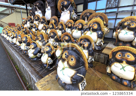 Line up! Shigaraki ware raccoon dogs 123865334