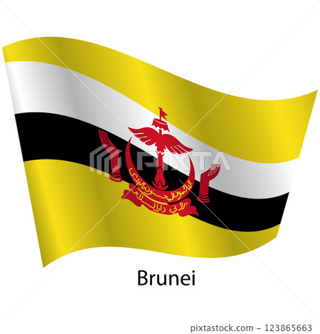 Flag of the country Brunei on a white background 123865663