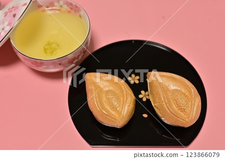 美味的日本甜點 123866079