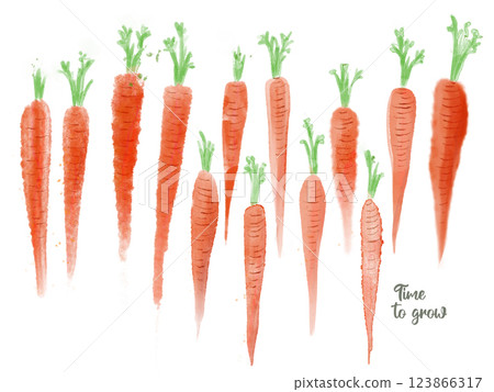 Various carrots in watercolor technique. Ready for cards, posters, prints and other usage 123866317