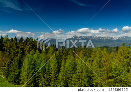 The most famous Slovak peak in the High Tatras - Krivan. A view of the Cierny Vah hydroelectric power plant. 123866335