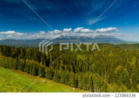 The most famous Slovak peak in the High Tatras - Krivan. A view of the Cierny Vah hydroelectric power plant. 123866336