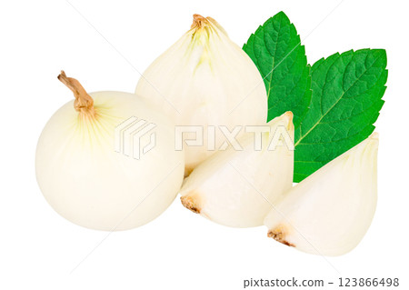 onion isolated on white background Peel 123866498