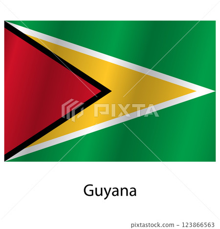 Flag of the country Guyana on a white background 123866563