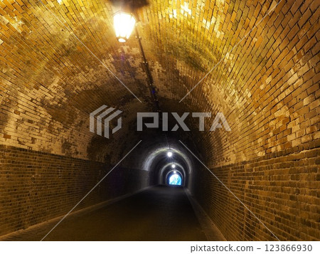 靜岡縣,宇都谷隧道(明治隧道),3月 靜岡縣,宇都谷隧道(明治隧道),3月 123866930