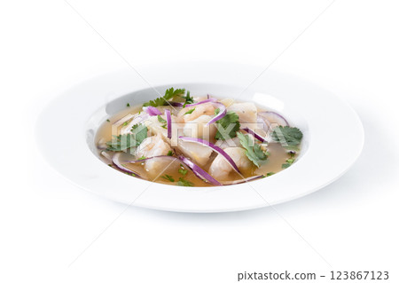 Traditional Peruvian ceviche sea bass fillet isolated on white background 123867123