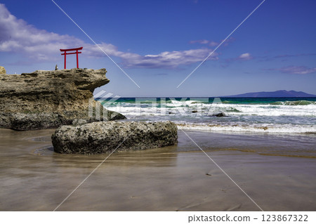 Beautiful coastal scenery with torii gates 123867322