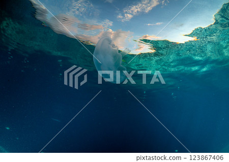 Moon jellyfish in the ocean at dusk, Ogasawara Moon jellyfish in the ocean at dusk, Ogasawara 123867406