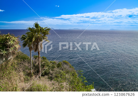 Hill with a view of the sea 123867626