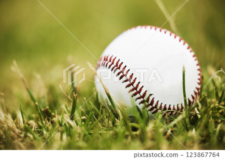 Baseball, sports and outdoor ball in nature on grass for a sport, exercise and fitness training. Pre game, workout match and active athlete equipment for a fun exercising activity on green plants 123867764