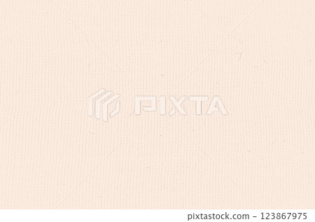 Textured craft fabric. Mulberry washi. Natural peach beige fiber background. Recycled rice paper print. Vector nude colors surface. Vintage cream backdrop. Textured craft fabric. Mulberry washi. Natural peach beige fiber background. Recycled rice paper print. Vector nude colors surface. Vintage cream backdrop. 123867975