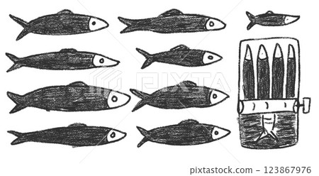 Sardines charcoal doodle set. Canned fish hand drawn scribble. Tinned fishes. Open sardine tin. Vector conserve eat illustration by pencil isolated on white background. Crayon or chalk naive seafood 123867976