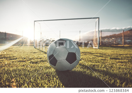 Soccer ball, goal post and grass on sports field, wellness club or fitness center for exercise, training or Brazilian game. Zoom, texture and football for workout, stadium competition or energy match 123868384