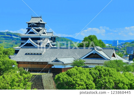 [熊本縣]晴天的熊本城（天守閣和本丸禦殿） 123868445