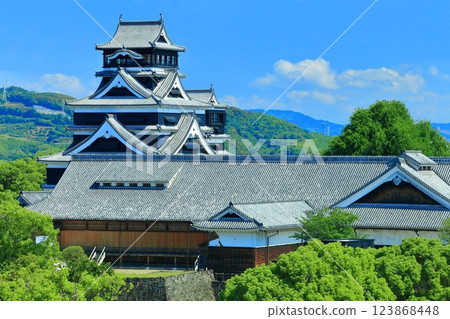 [熊本縣]晴天的熊本城（天守閣和本丸禦殿） 123868448