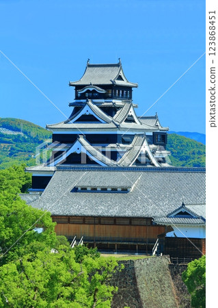 [Kumamoto Prefecture] Kumamoto Castle on a clear day (the castle tower and Honmaru Palace) 123868451