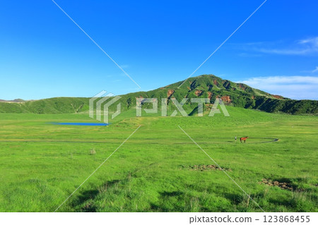 [Kumamoto Prefecture] Fresh greenery at Kusasenrihama Beach (Mount Aso) 123868455