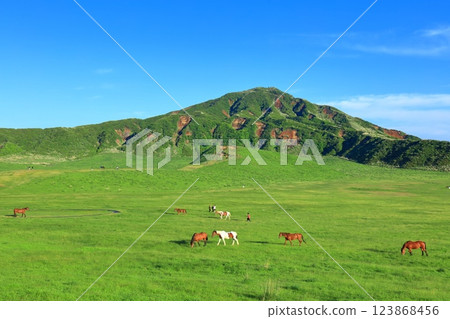 [Kumamoto Prefecture] Fresh greenery at Kusasenrihama Beach (Mount Aso) 123868456
