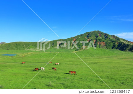 [Kumamoto Prefecture] Fresh greenery at Kusasenrihama Beach (Mount Aso) 123868457