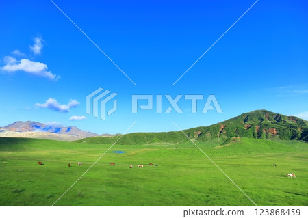 [Kumamoto Prefecture] Fresh green Kusasenrihama Beach and Nakadake (the crater of Mount Aso) 123868459