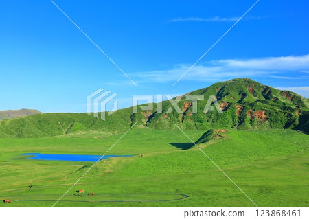 [熊本縣]新鮮的綠草千里濱（阿蘇山） 123868461