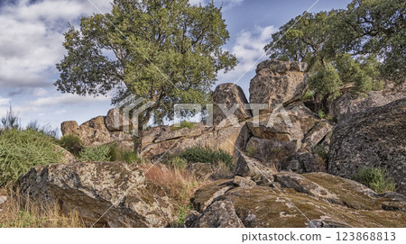Protected Landscape Monte Valcorchero y Sierra del Gordo, Caceres, Spain 123868813