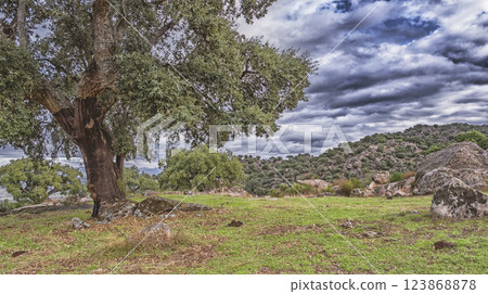 Protected Landscape Monte Valcorchero y Sierra del Gordo, Caceres, Spain 123868878