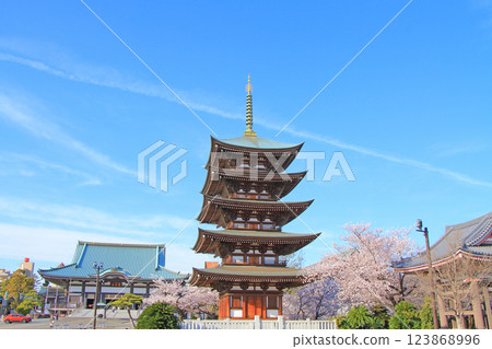 愛知縣名古屋市覺王山二泰寺五層寶塔與櫻花風景 愛知縣名古屋市覺王山二泰寺五層寶塔與櫻花風景 123868996