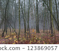 Natural park in the late of autumn 123869057
