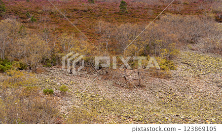 Paso de los Lobos Viewpoint, Spain Paso de los Lobos Viewpoint, Spain 123869105