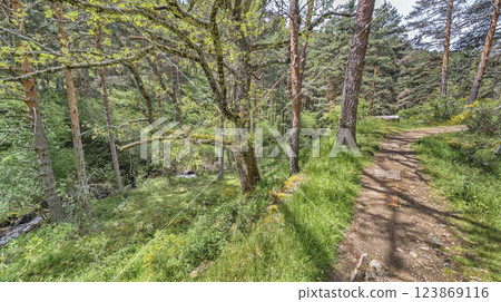 Azud del Acueducto Hiking Route, Sierra de Guadarrama National Park, Spain 123869116