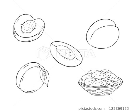 Apricot fruit set. Hand drawn isolated illustration on white.   Whole apricots with leaves, sliced fruits, and dried apricots in a wooden bowl. 123869153