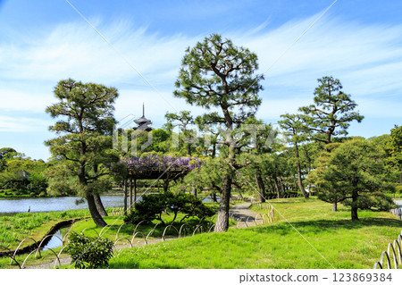 神奈川縣橫濱市的風景名勝三溪園,綠意盎然 神奈川縣橫濱市的風景名勝三溪園,綠意盎然 123869384