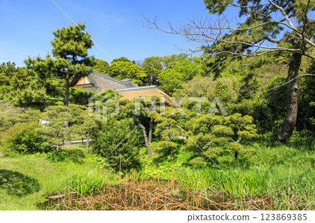 神奈川縣橫濱市的風景名勝三溪園,綠意盎然 神奈川縣橫濱市的風景名勝三溪園,綠意盎然 123869385