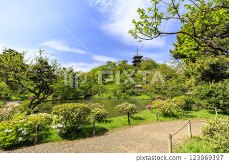 Fresh greenery at Sankeien Garden, a scenic spot in Yokohama, Kanagawa Prefecture Fresh greenery at Sankeien Garden, a scenic spot in Yokohama, Kanagawa Prefecture 123869397