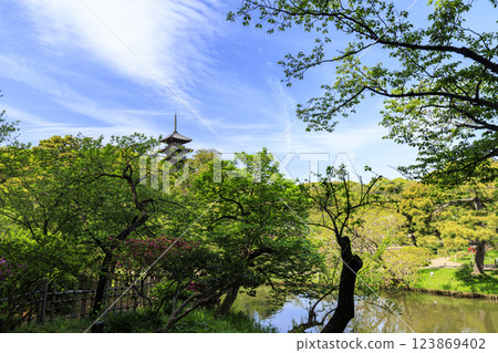 神奈川縣橫濱市的風景名勝三溪園，綠意盎然 123869402
