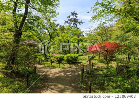 Fresh greenery at Sankeien Garden, a scenic spot in Yokohama, Kanagawa Prefecture 123869408