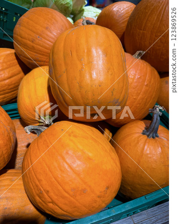 Several large, orange pumpkins displayed on a vegetable market stall, rustic market setting 123869526